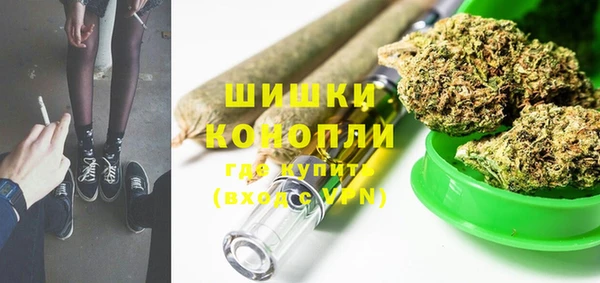 ГАЛЛЮЦИНОГЕННЫЕ ГРИБЫ Пионерский