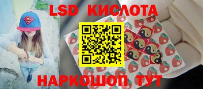 мяу мяу мука Донской