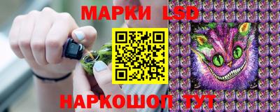 прущие грибы Донецк