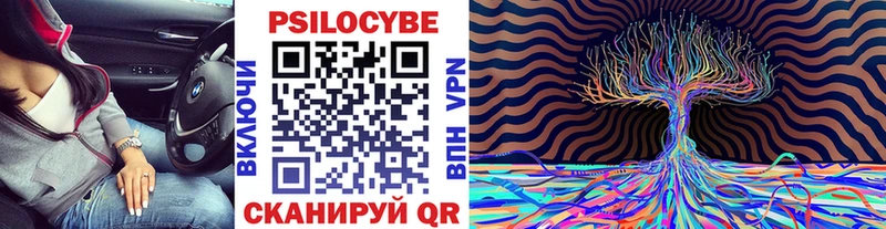 где продают наркотики  Южно-Сахалинск  KRAKEN онион  Псилоцибиновые грибы Cubensis 