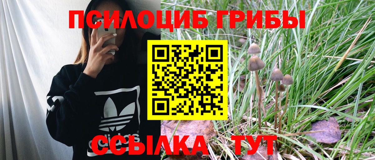 Псилоцибиновые грибы MAGIC MUSHROOMS  Вход с VPN  Псилоцибиновые грибы Cubensis  Южно-Сахалинск 